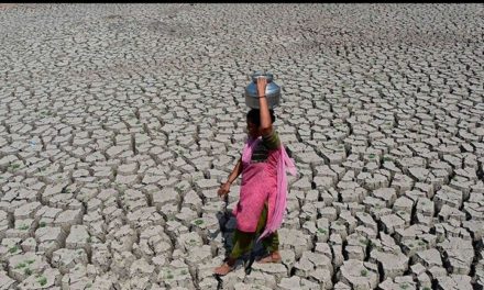 India se ahoga bajo el calor; Las temperaturas han superado los 50 grados centígrados.