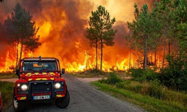 Los incendios forestales queman Francia, España; Las muertes relacionadas con la temperatura se disparan